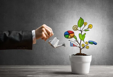A graphic of a man watering a plant, representing business strategy